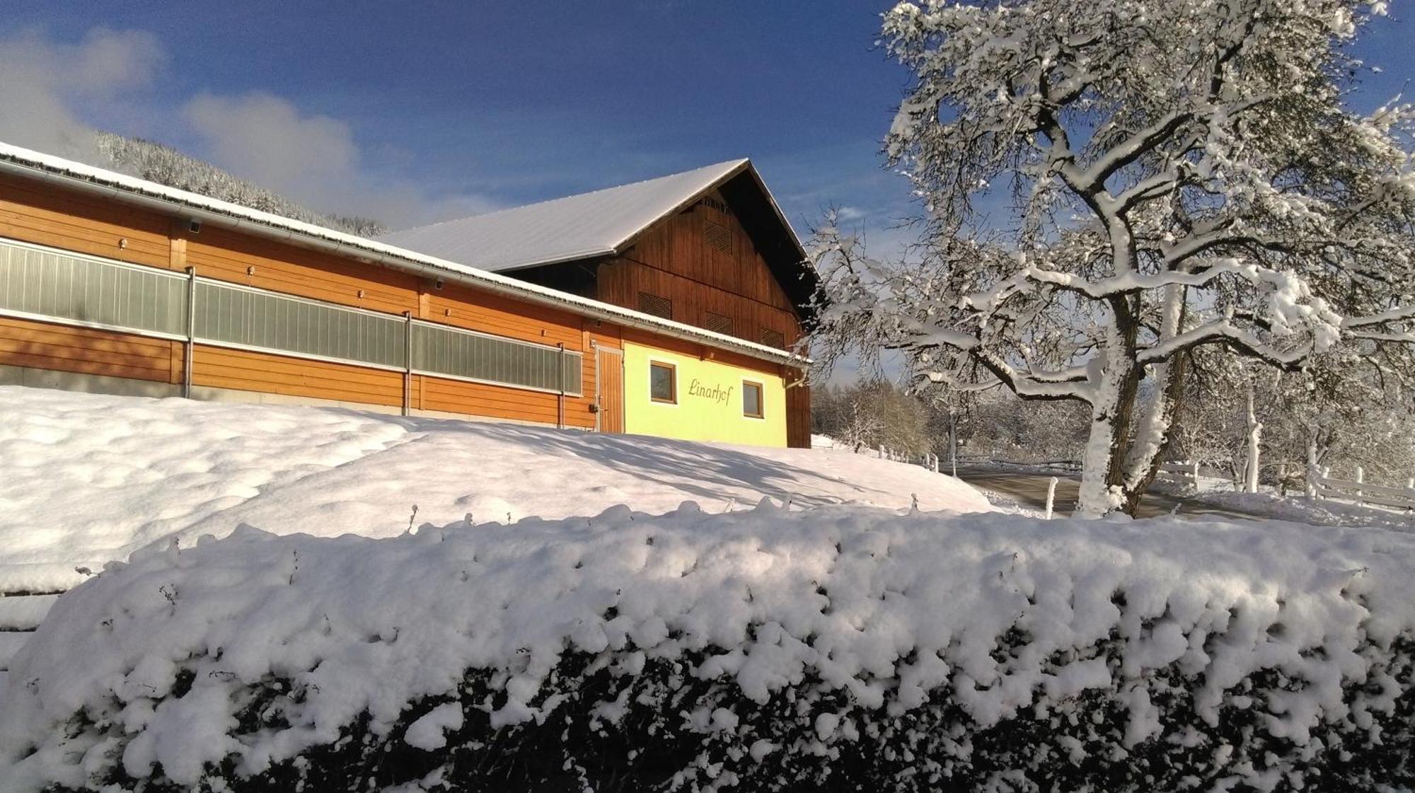 Linarhof Apartment Urlaub Am Bio Bauernhof Haus Exterior foto