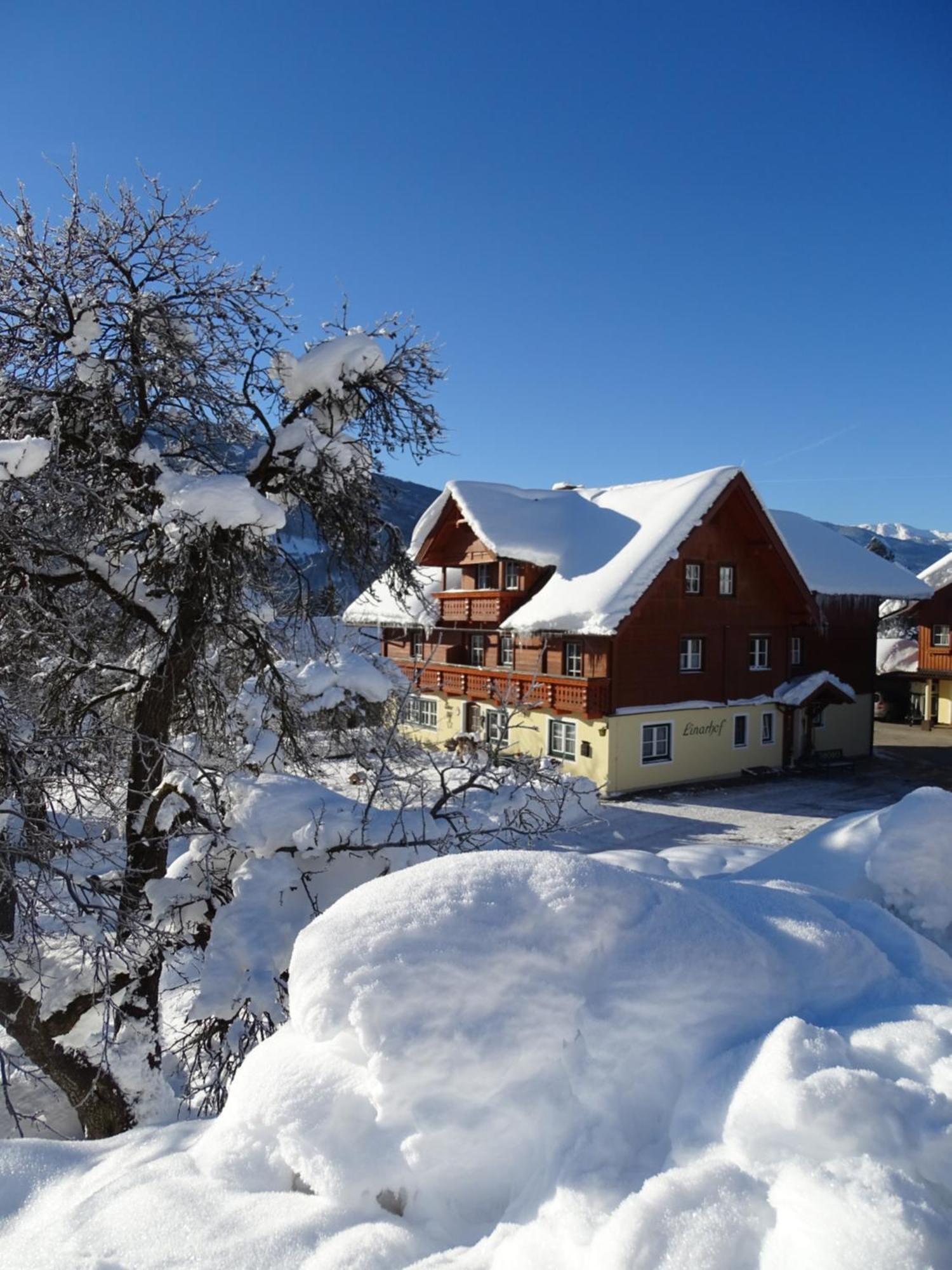 Linarhof Apartment Urlaub Am Bio Bauernhof Haus Exterior foto