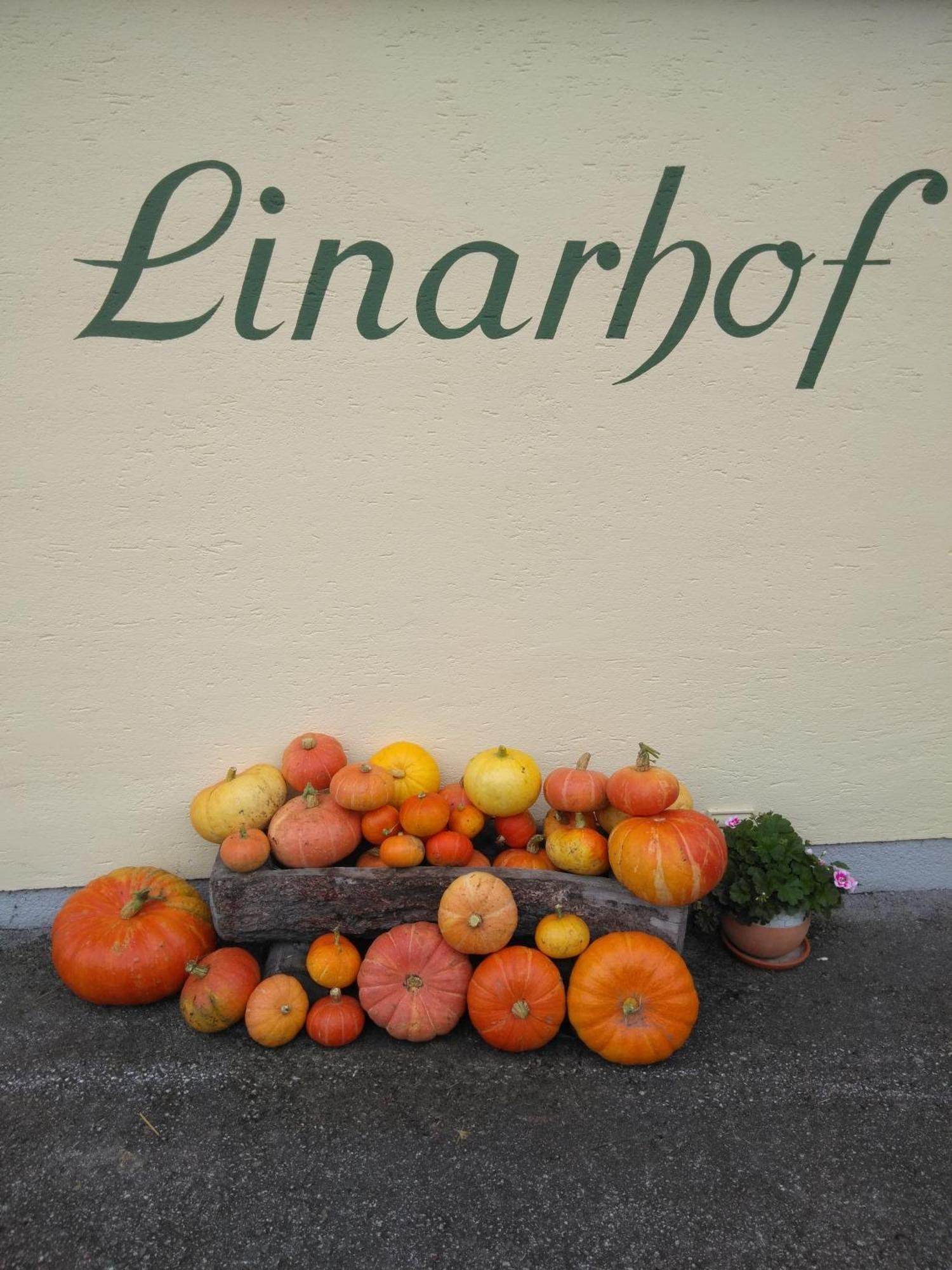 Linarhof Apartment Urlaub Am Bio Bauernhof Haus Exterior foto